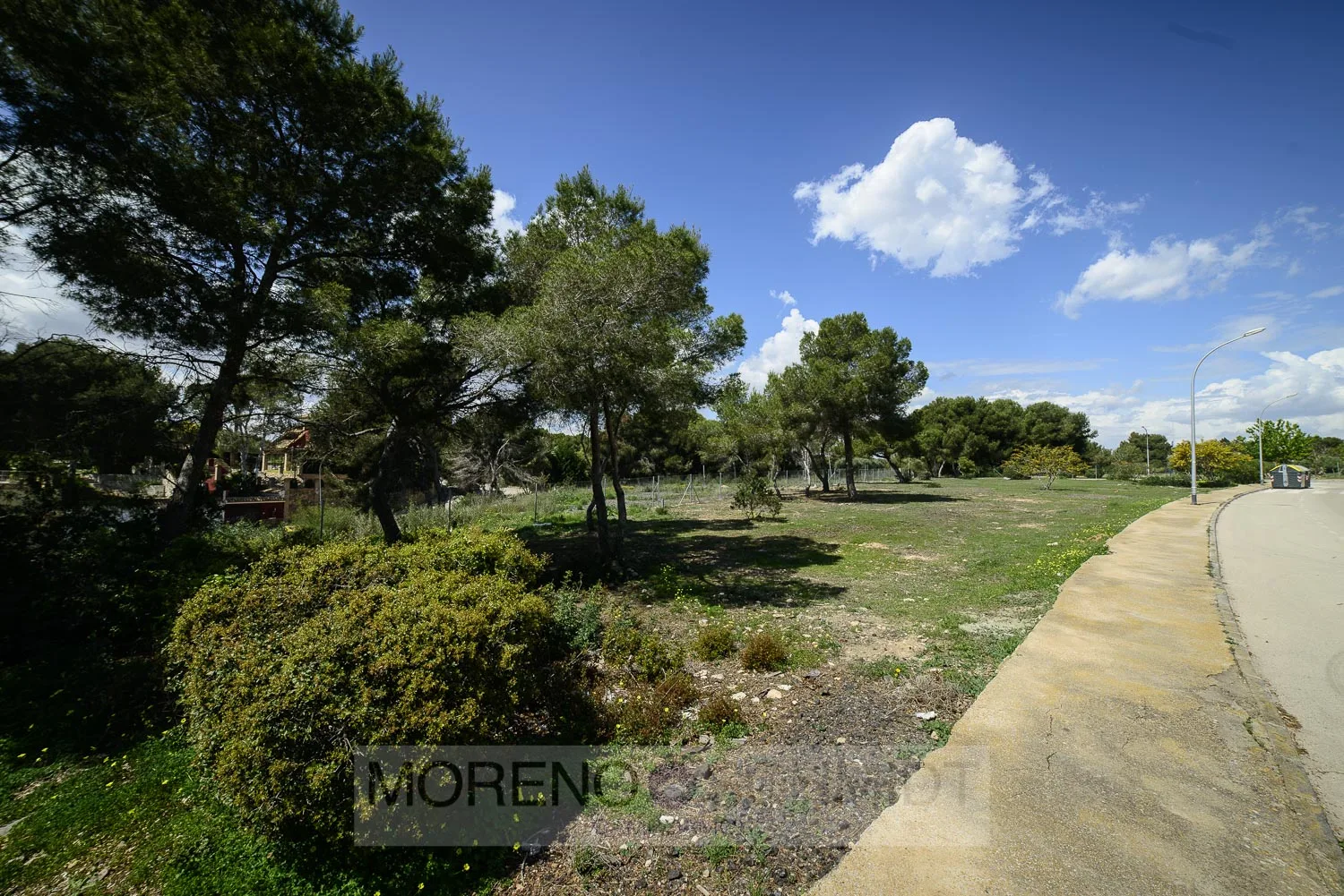 Plot w Dehesa De Campoamor