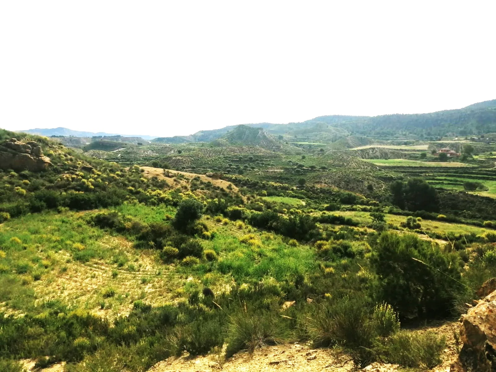 Finca Rural w Cañadas De San Pedro