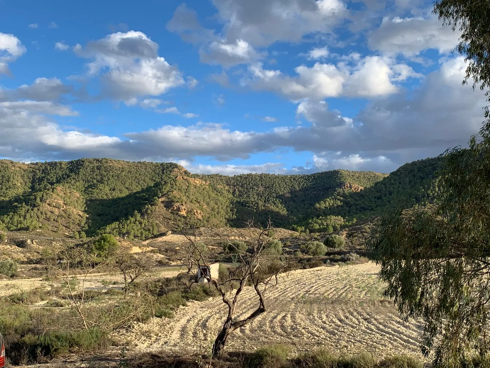 Finca Rural w Cañadas De San Pedro