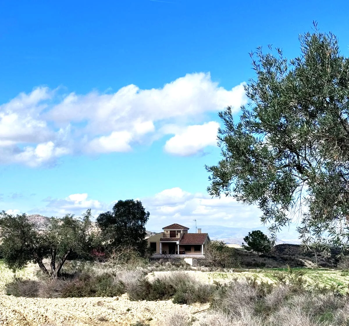 Finca Rural w Cañadas De San Pedro