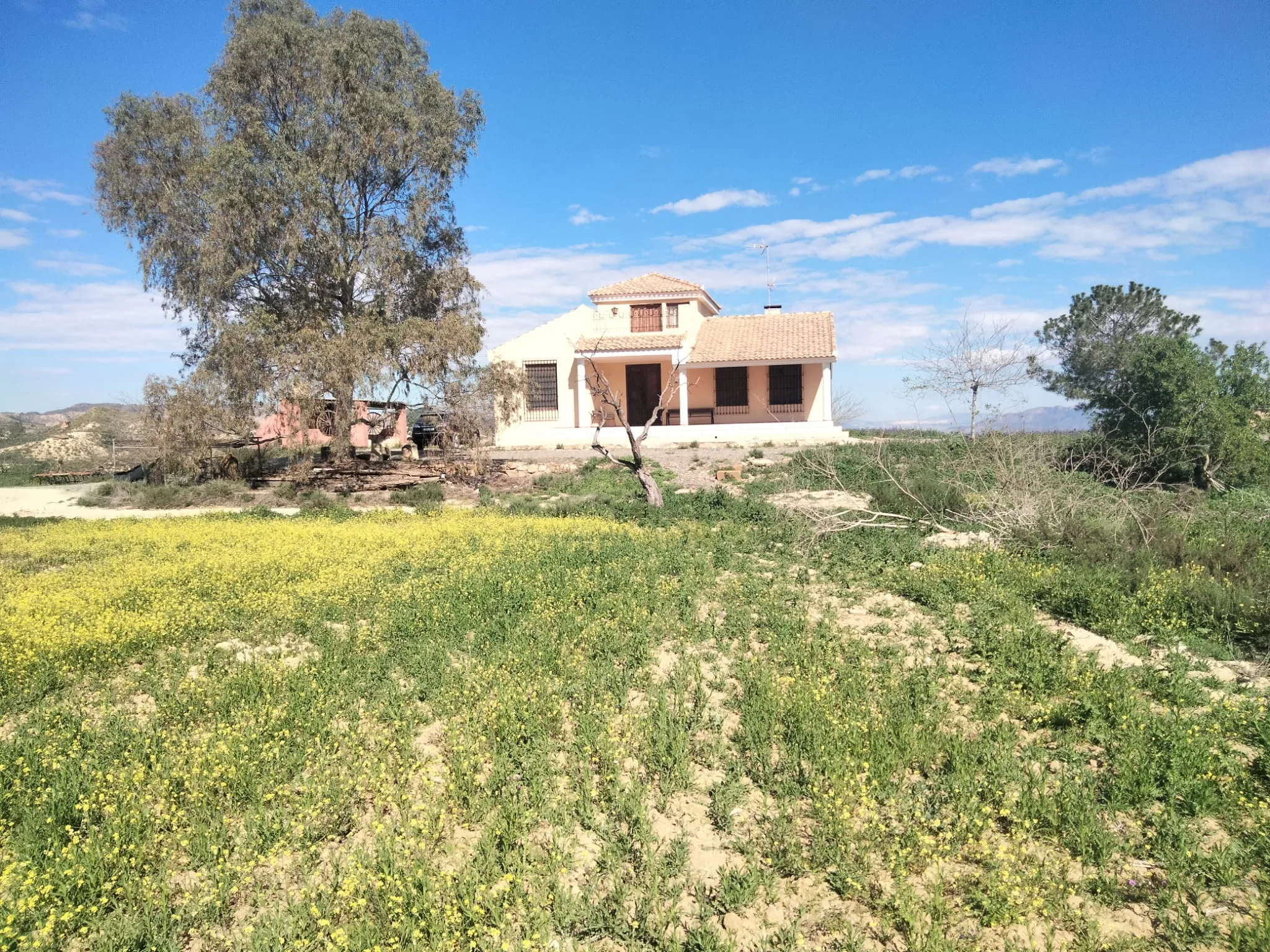 Finca Rural w Cañadas De San Pedro