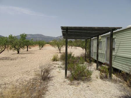 Plot na sprzedaż w Murcia