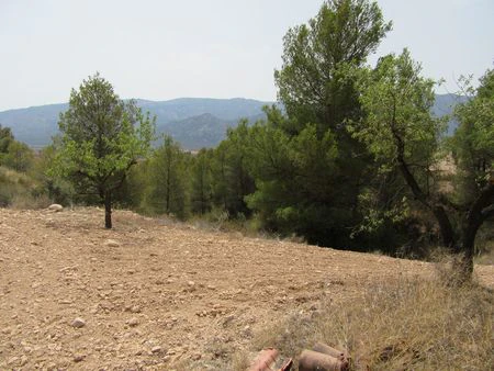 Plot na sprzedaż w Murcia