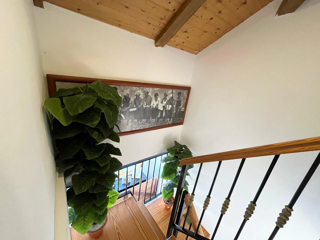 Country House na sprzedaż w Fortuna