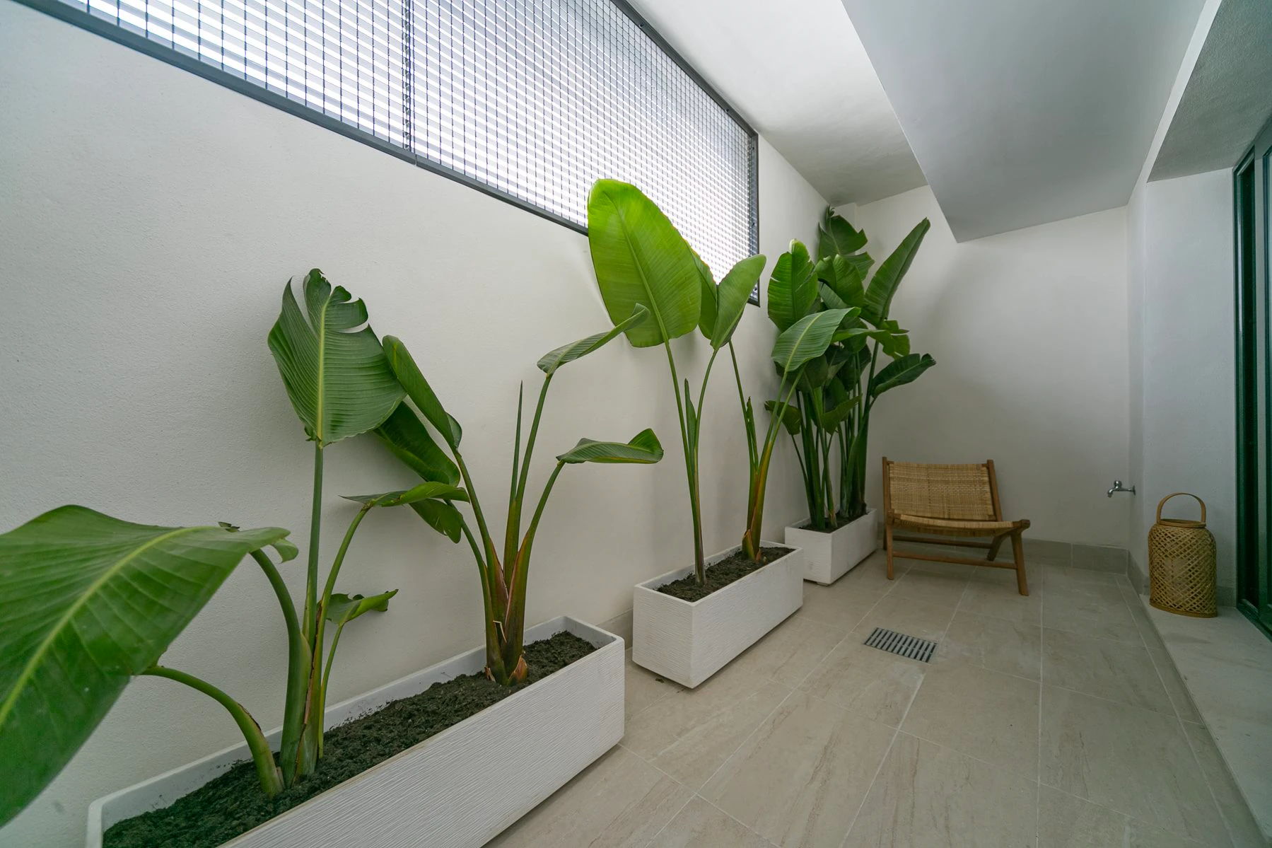 Bungalow na sprzedaż w Torrevieja
