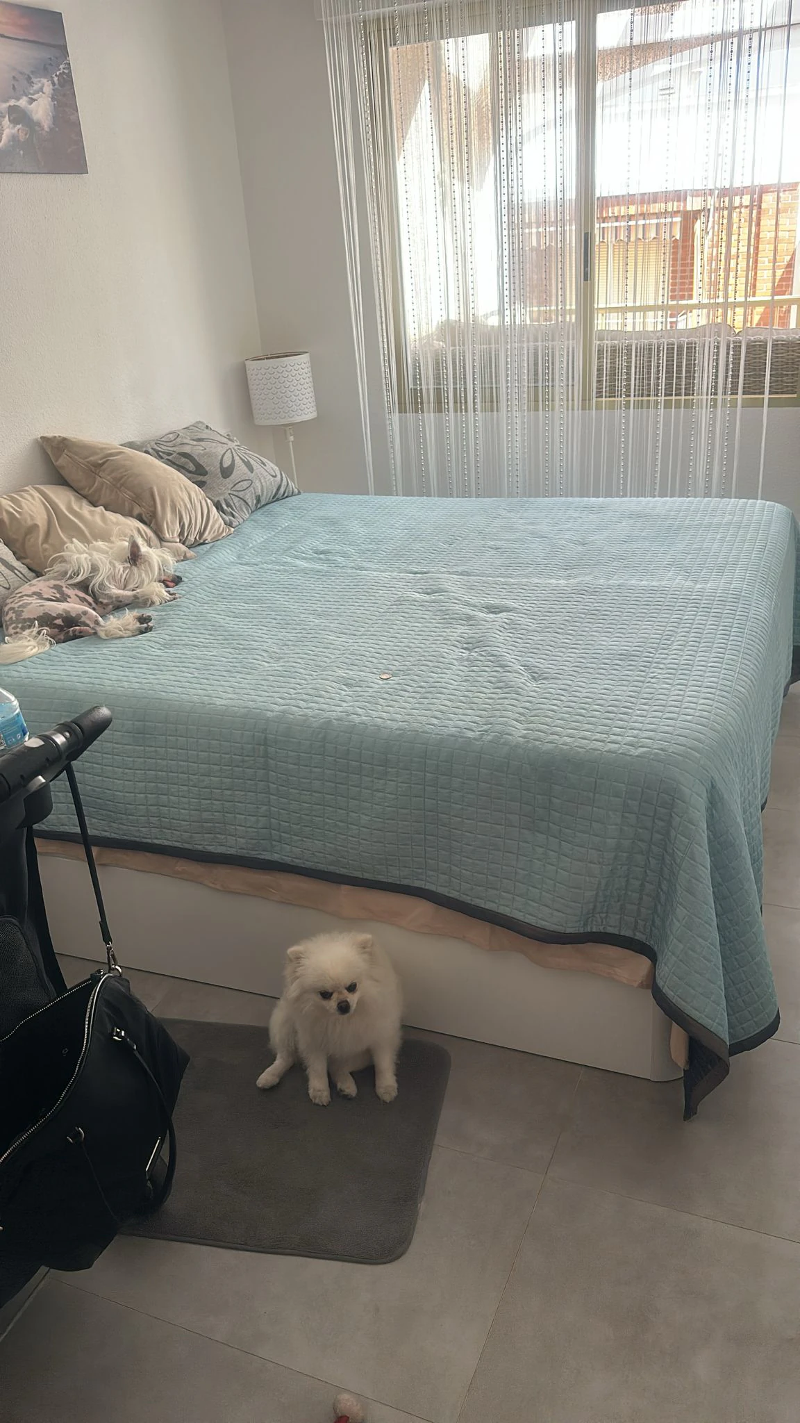 Penthouse na sprzedaż w Torrevieja