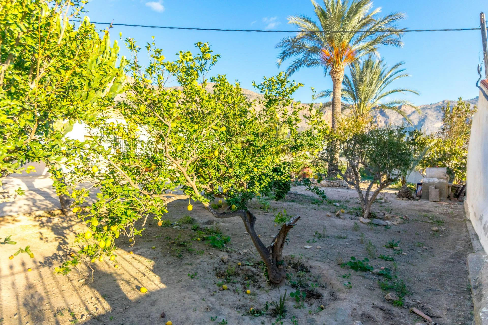 Country House na Sprzedaż na Orihuela