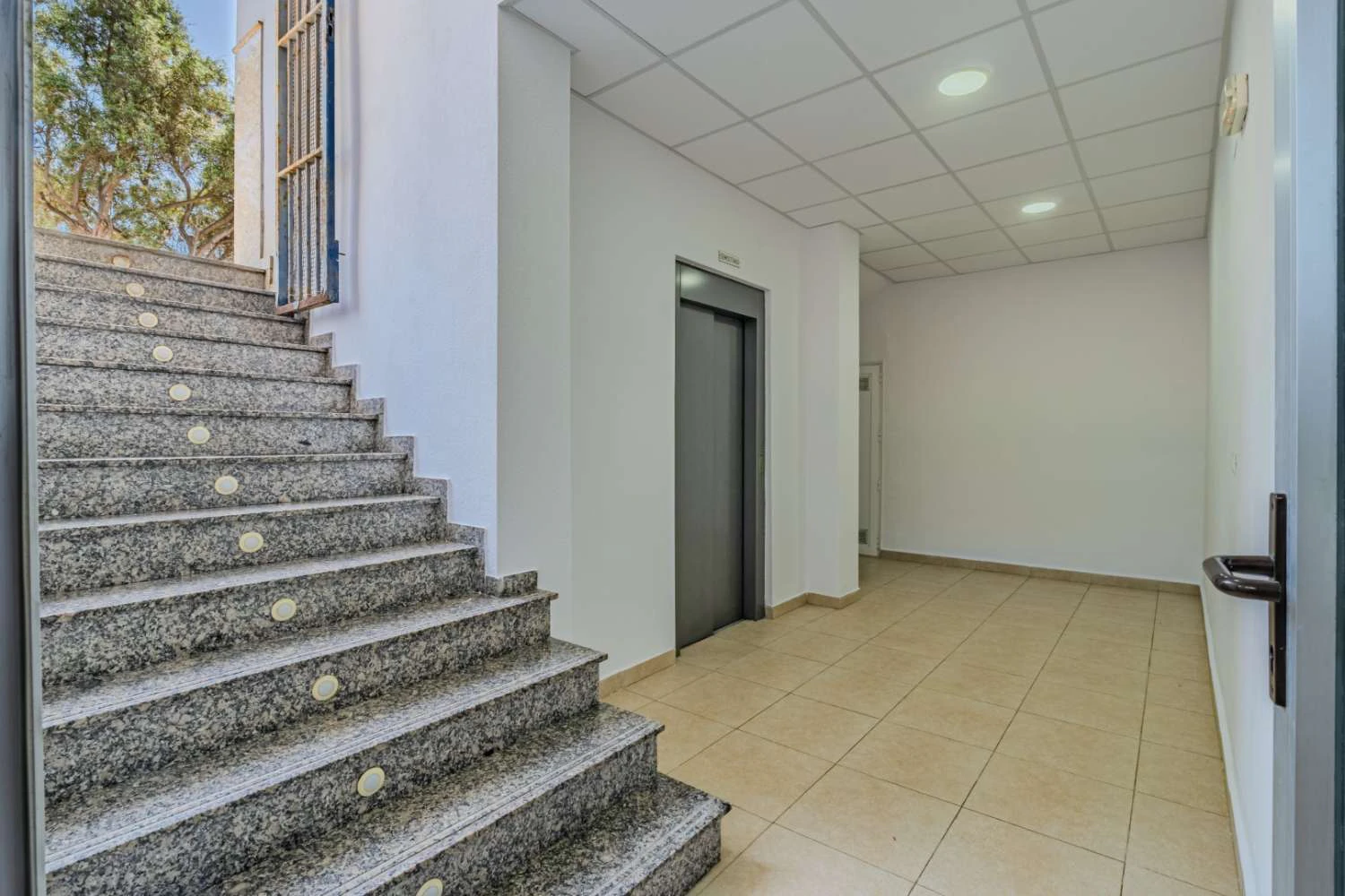 Business local na sprzedaż w Torrevieja