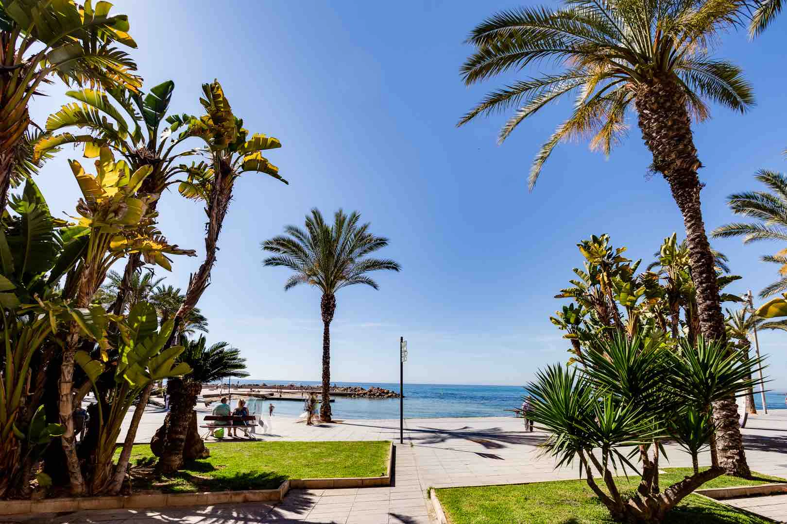Apartament na sprzedaż w Torrevieja