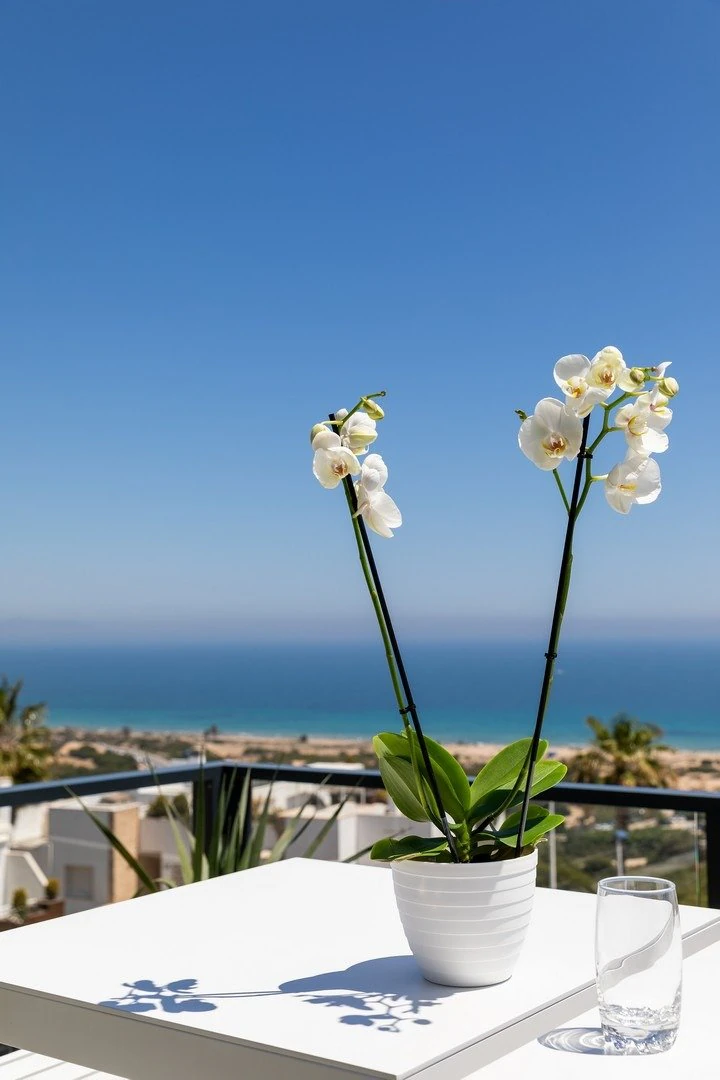 Apartament na sprzedaż w Santa Pola