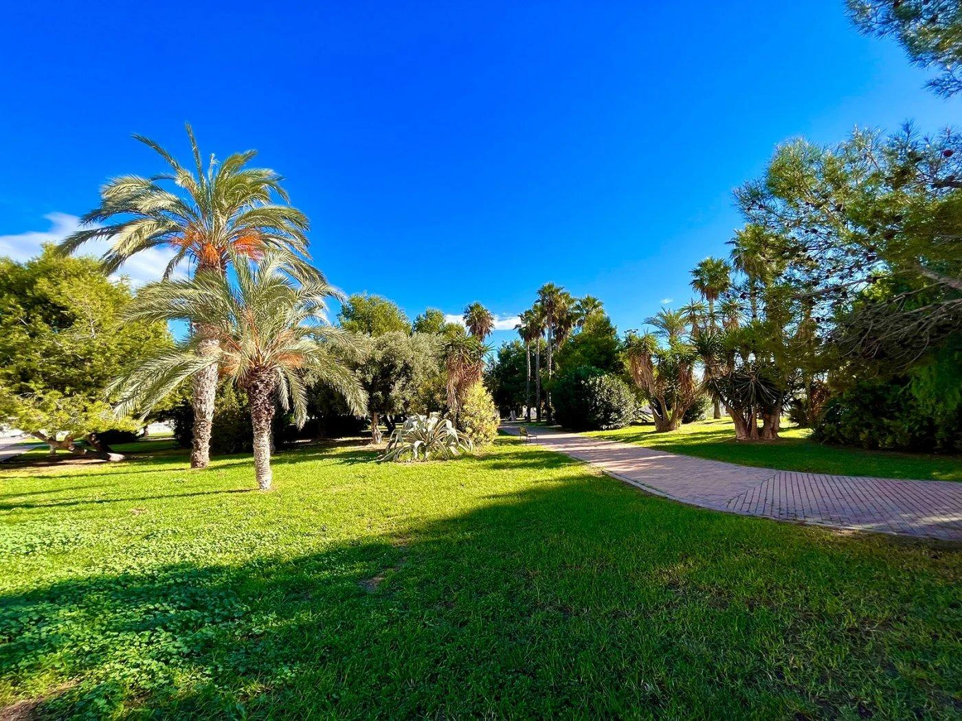Bliźniak na sprzedaż w Torrevieja