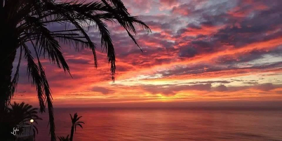 Bungalow na sprzedaż w Torrevieja