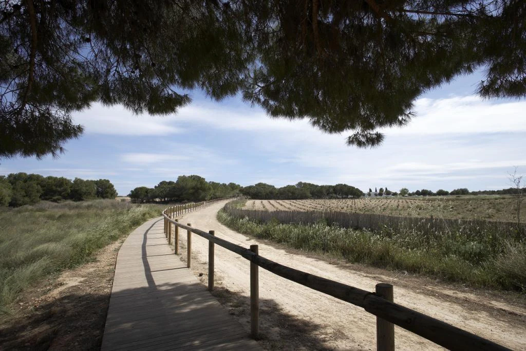 Bungalow na sprzedaż w Torrevieja