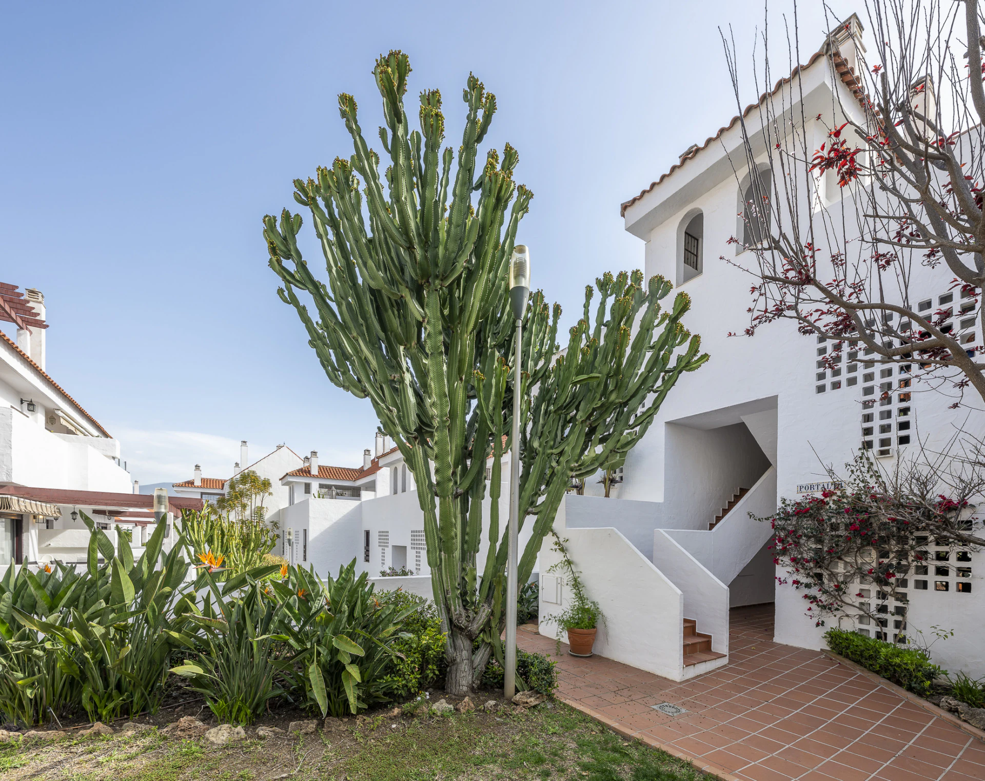 Apartament na sprzedaż w Nueva Andalucia
