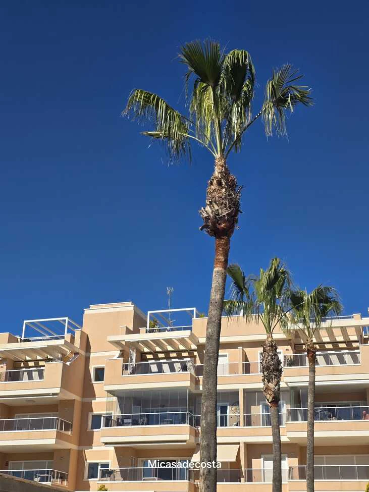 Apartament na sprzedaż w Orihuela Costa