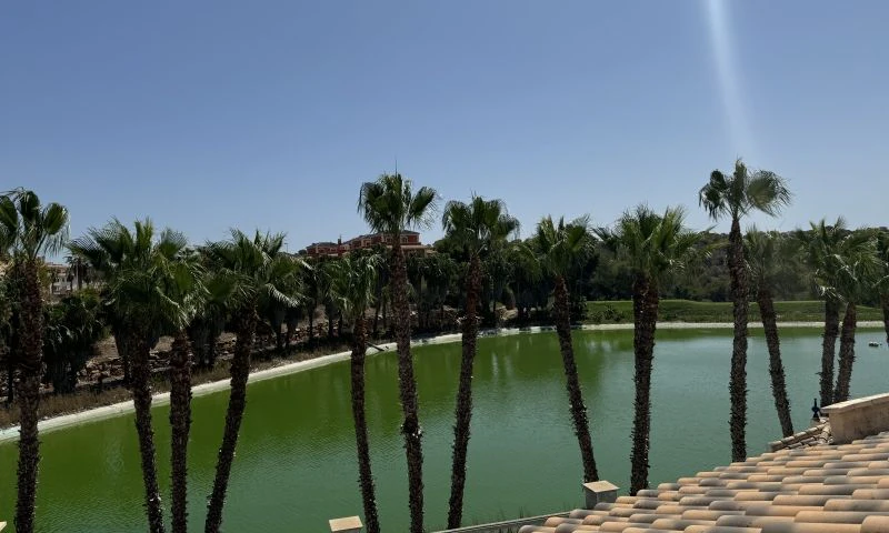 Willa na sprzedaż w Orihuela Costa