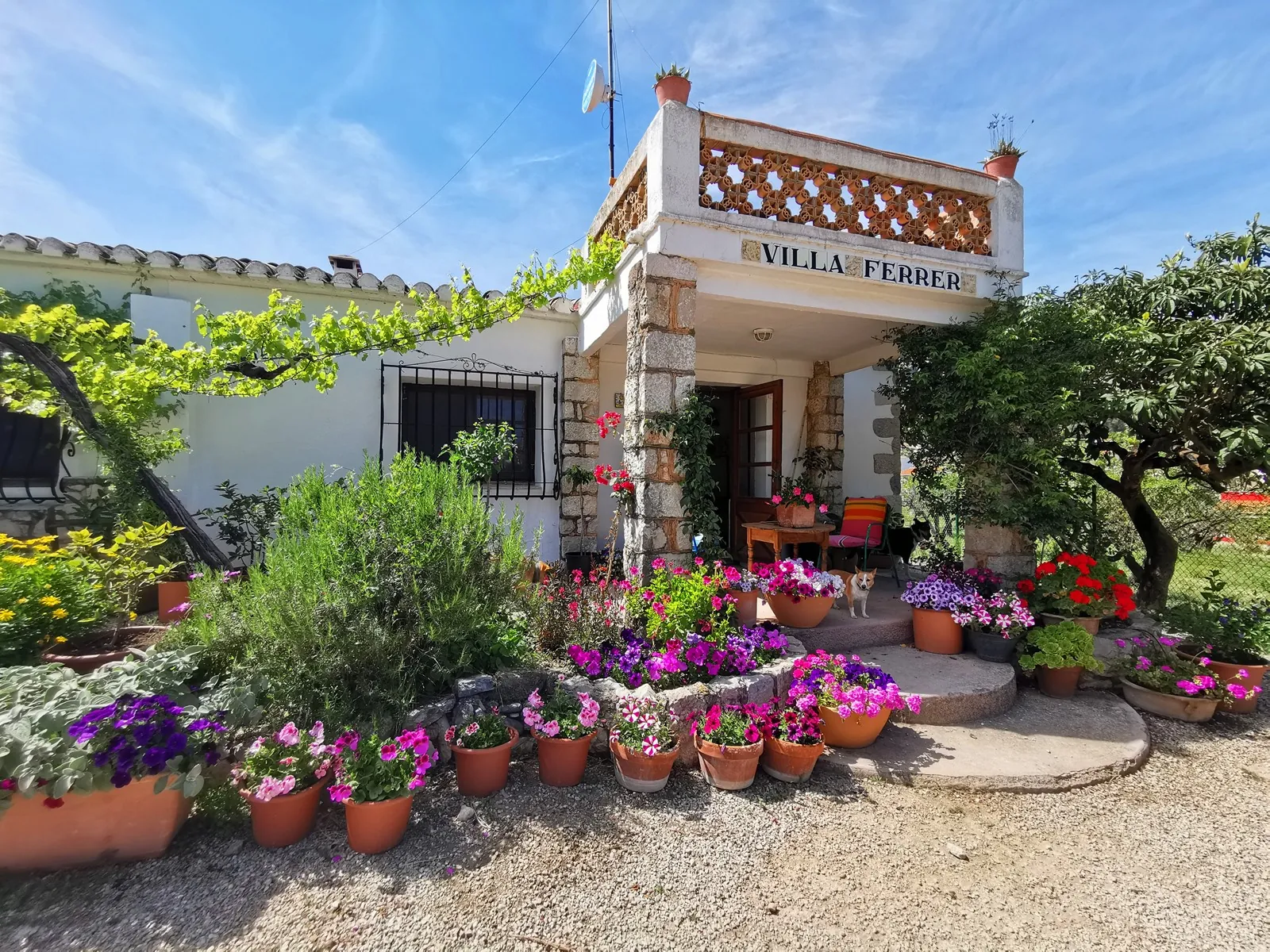 Sold Prior to Listing