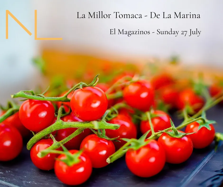 Vous dites tomate, je dis tomate - pourquoi le festival de la tomate de Denia est une affaire sérieuse