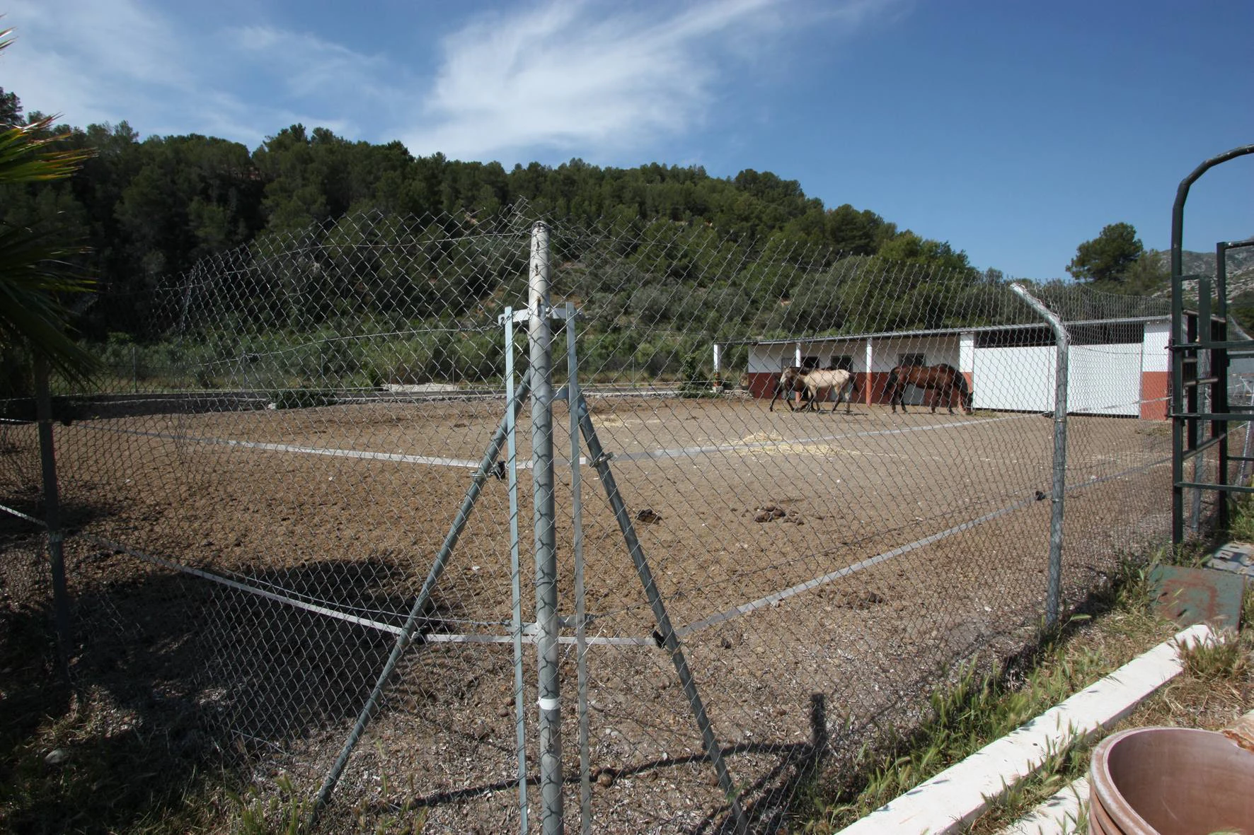 Finca zum Verkauf in Orba für Pferdezucht