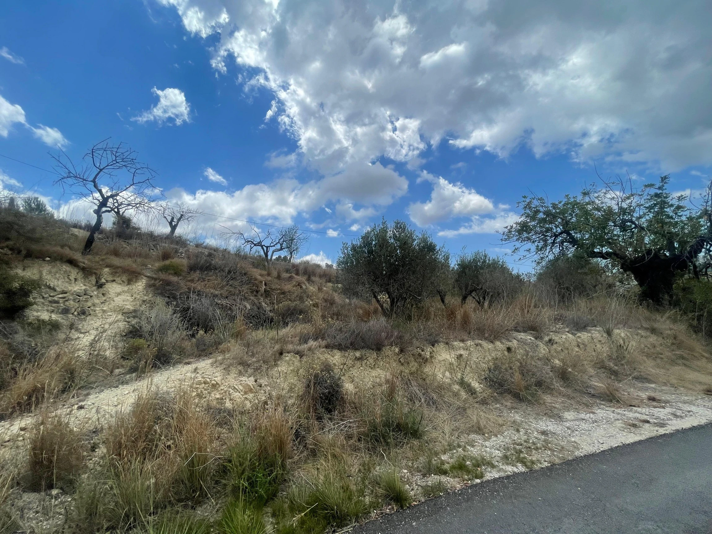Terrain à la vente à Benissa