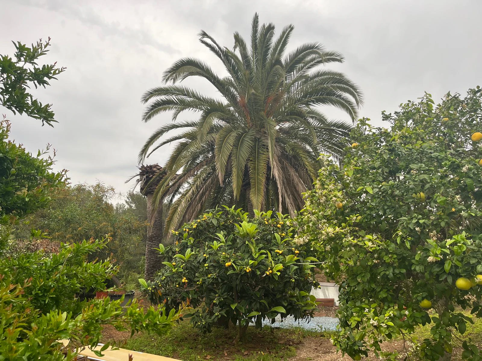 Villa te verkoop in Jávea / Xàbia