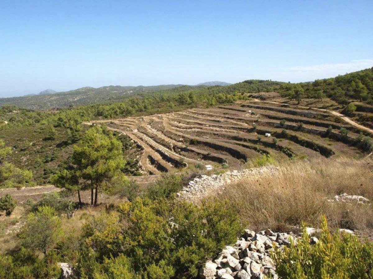 Great opportunity! 200,000 m2 of rural land for sale