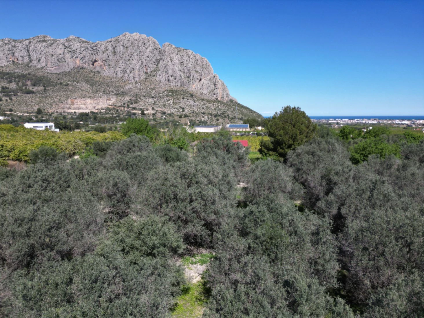Terrain à vendre dans la forêt d’orangers à Benidoleig - avec un potentiel de construction et une vue imprenable