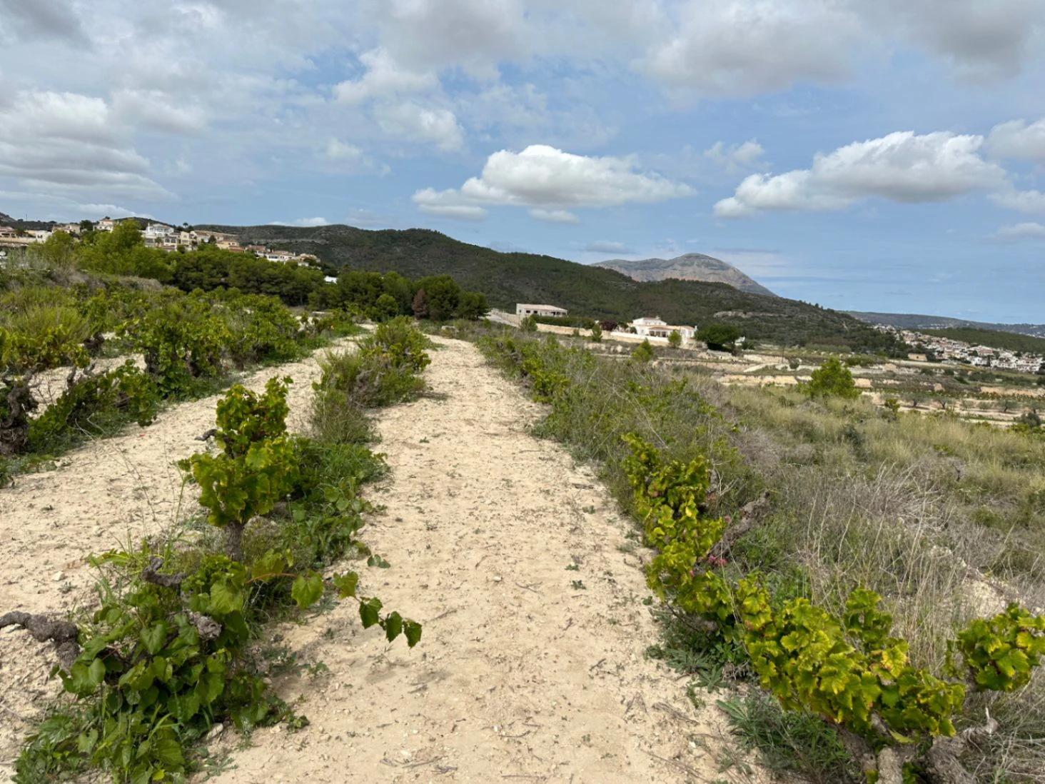 PARCELA CON VISTAS AL MAR EN BENITACHELL