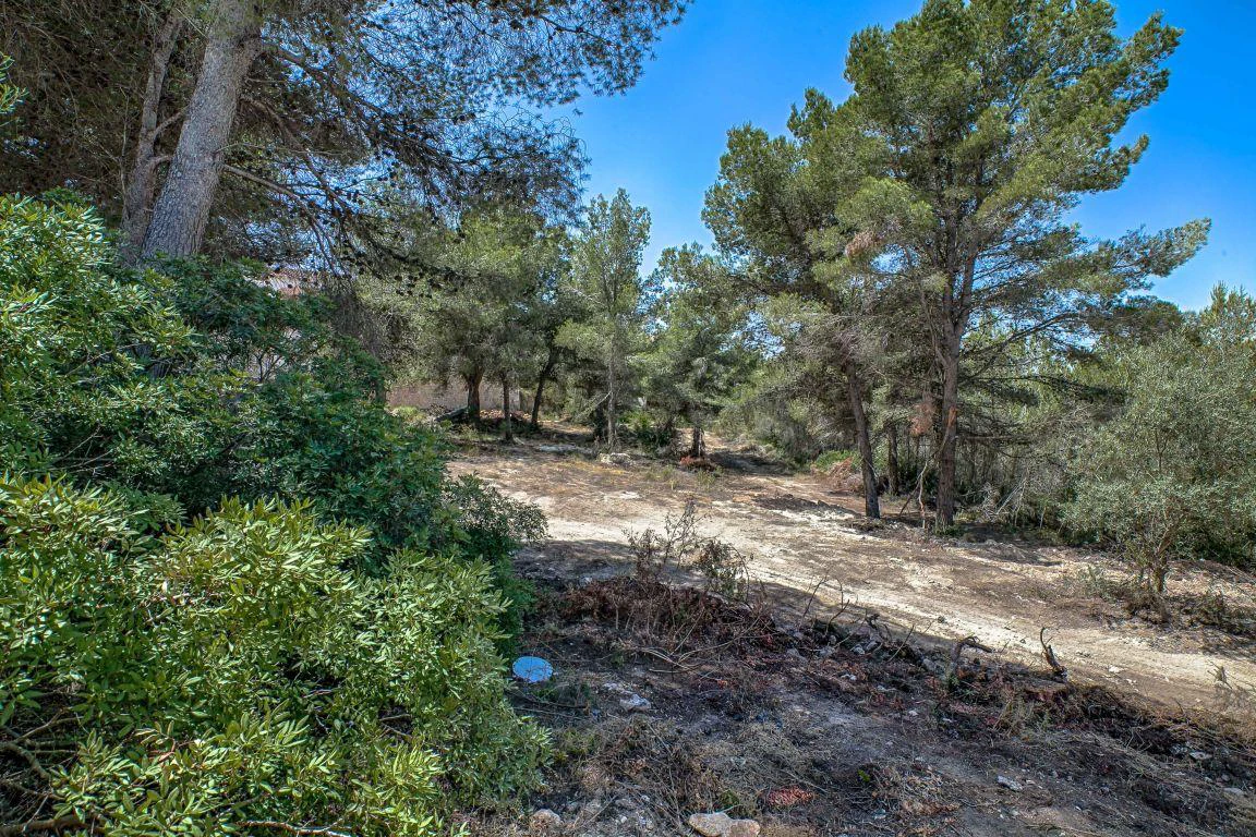 PARCELA EN BENIMEIT MORAIRA