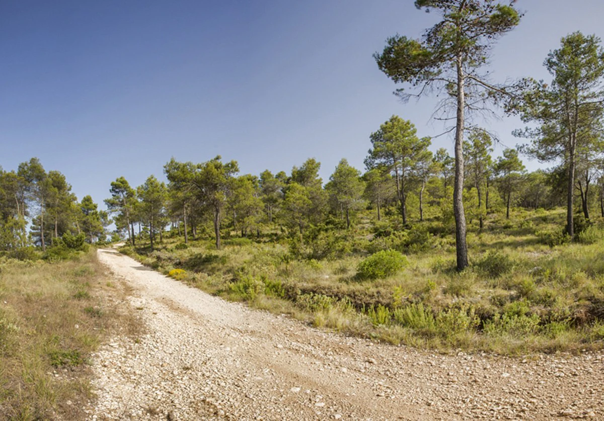 Great opportunity! 200,000 m2 of rural land for sale