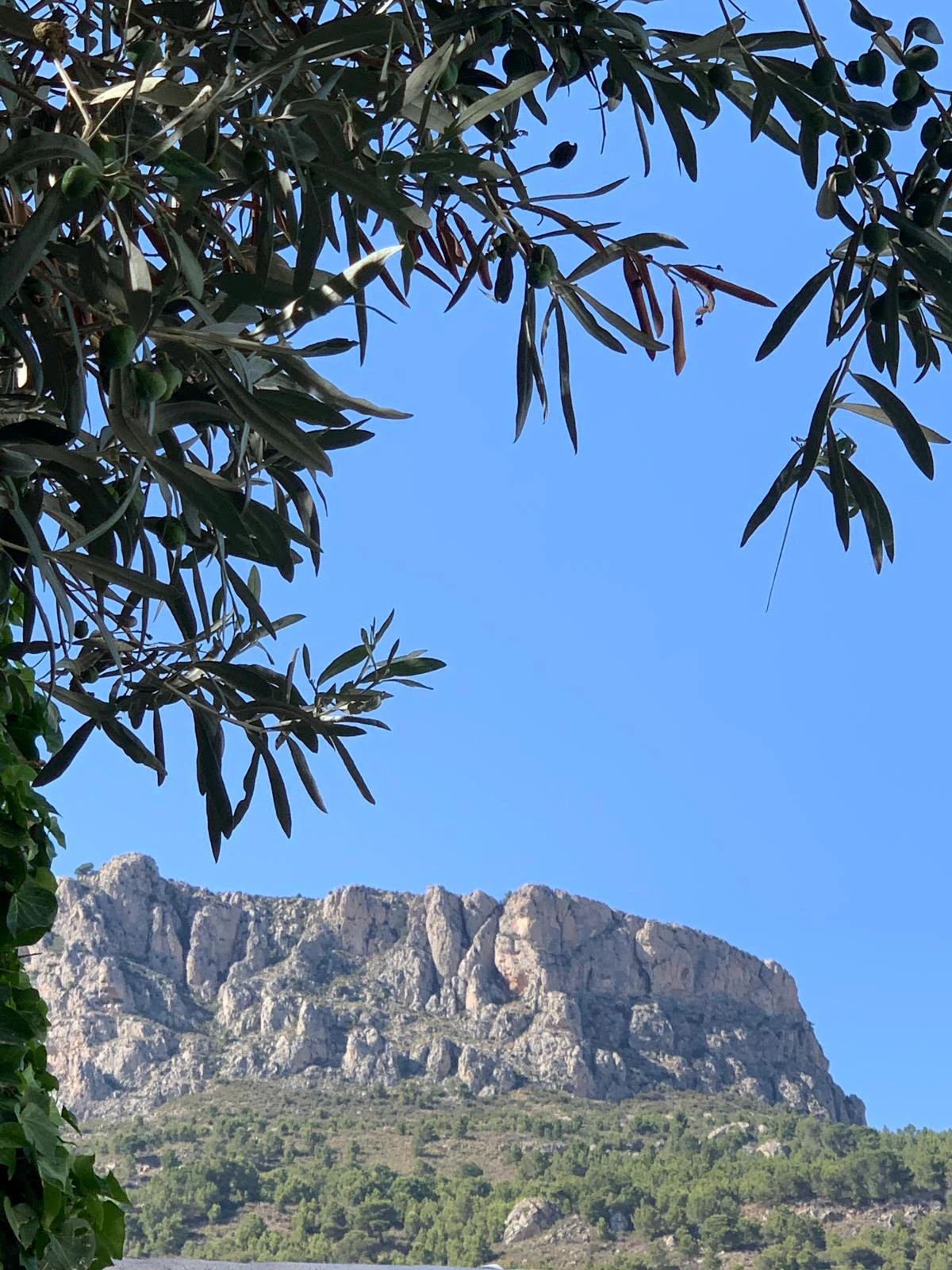 Villa Mediterránea en Maryvilla Calpe con Vistas al Mar, Piscina, Jacuzzi y Apartamento Independiente