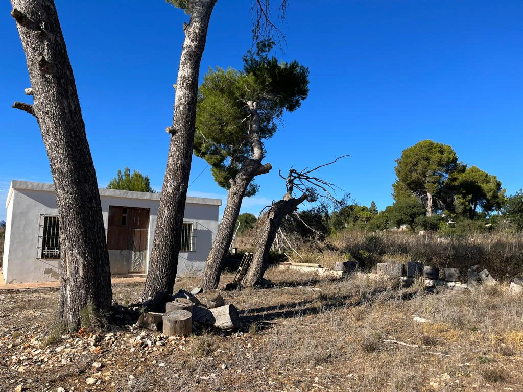 Finca en un terreno rústico en venta en Denia