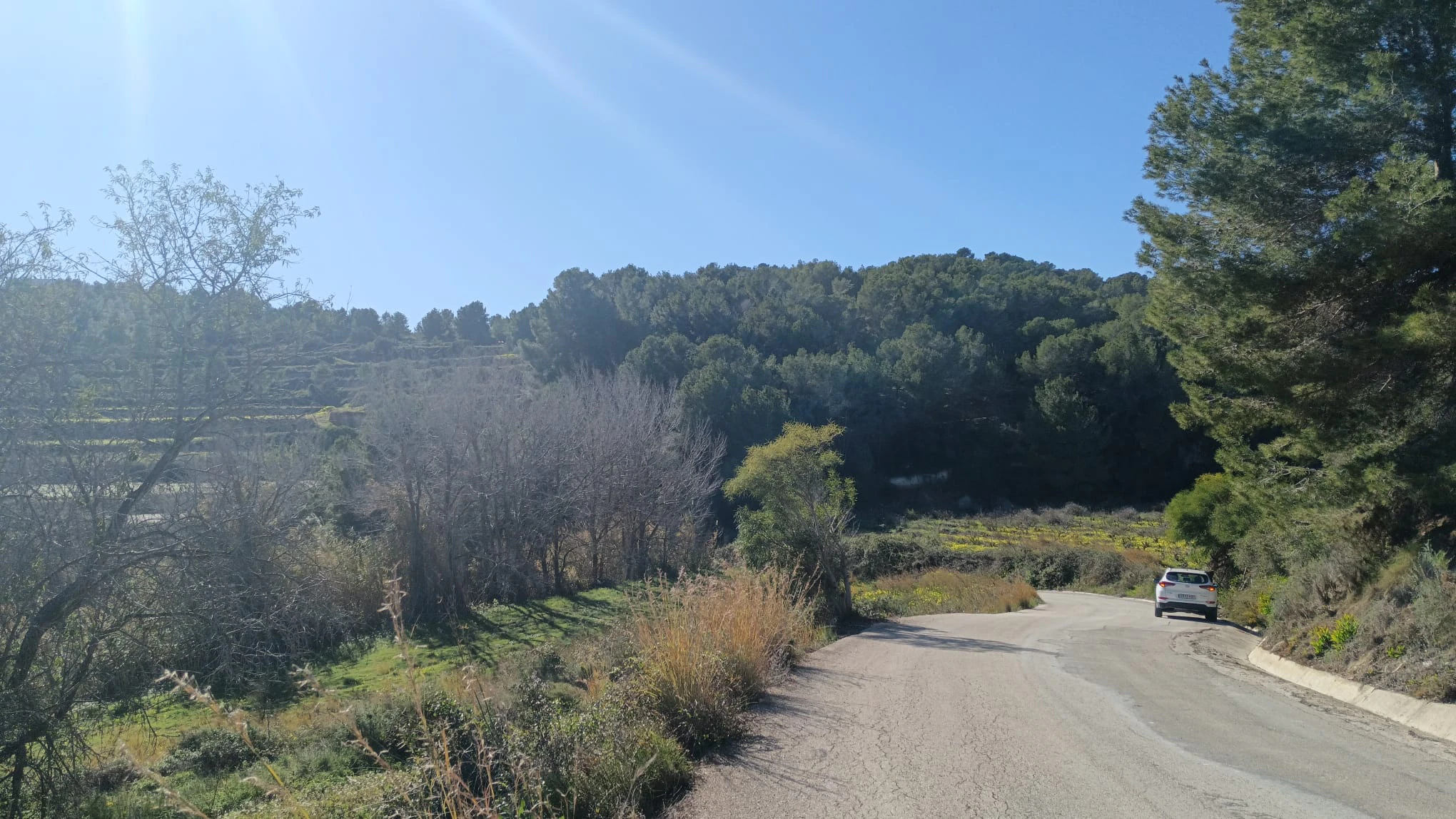 Amplia parcela de 10.000 m² en entorno natural privilegiado con orientación sur