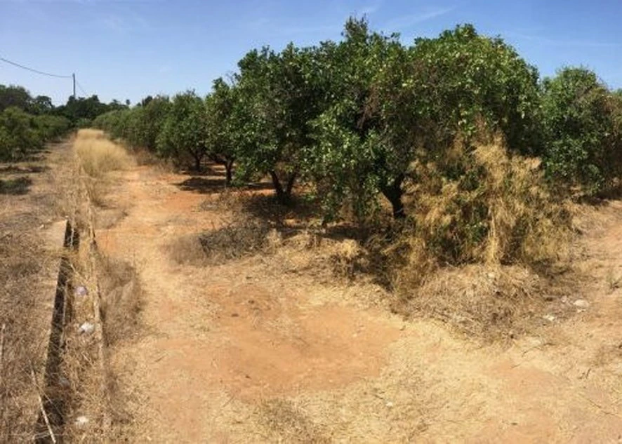 Grundstück 400 m vom Strand in Denia gelegen