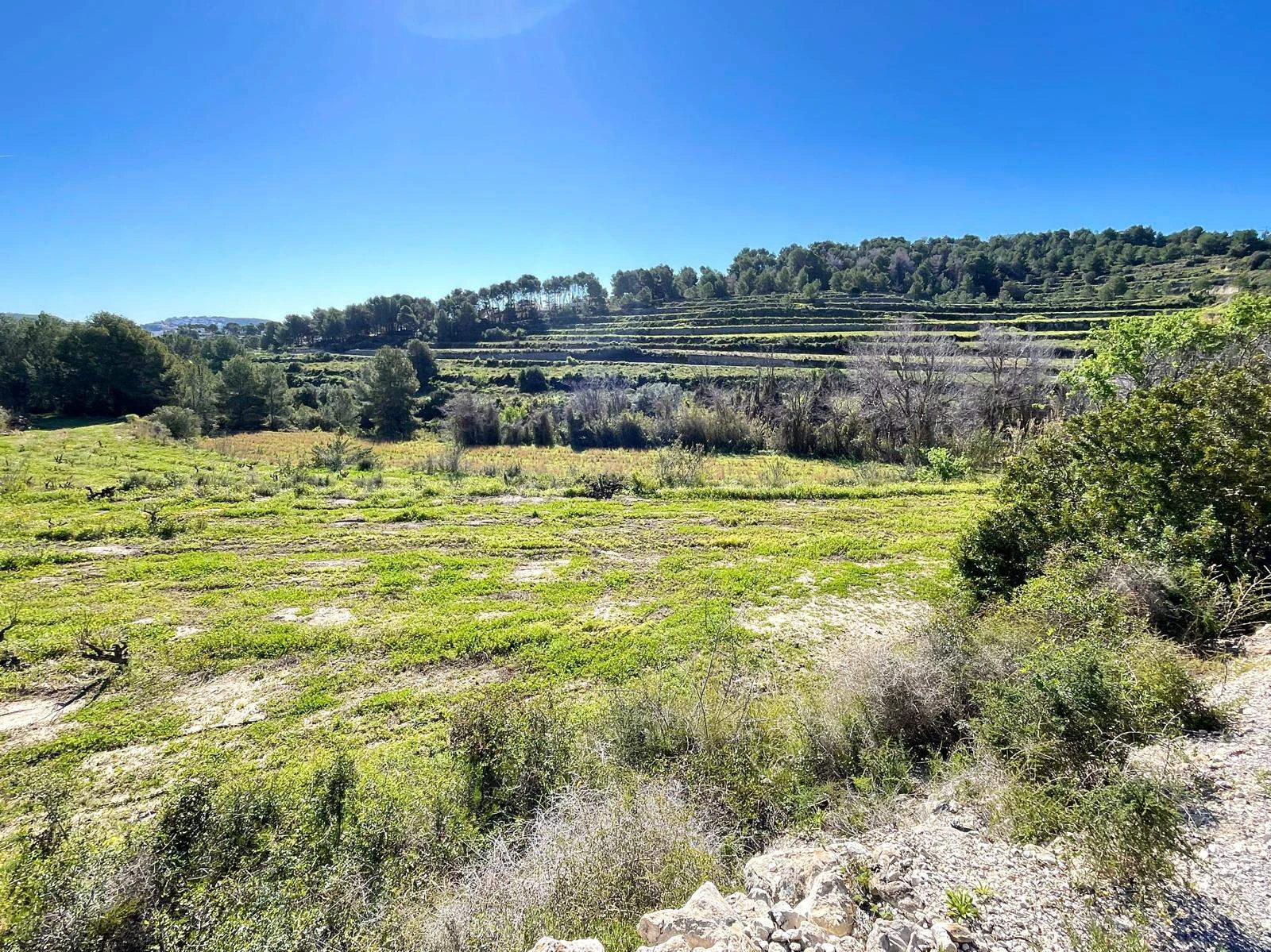Amplia parcela de 10.000 m² en entorno natural privilegiado con orientación sur