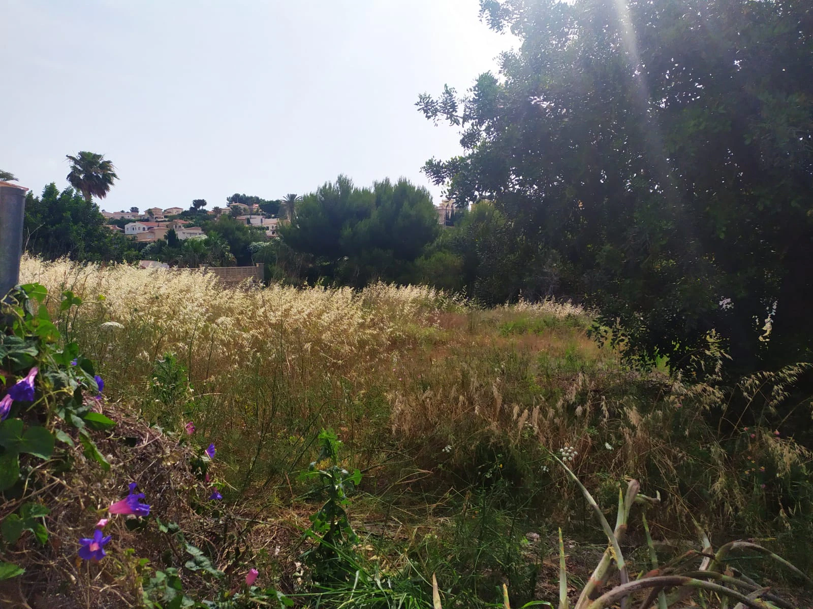 Terrain à la vente à Calpe