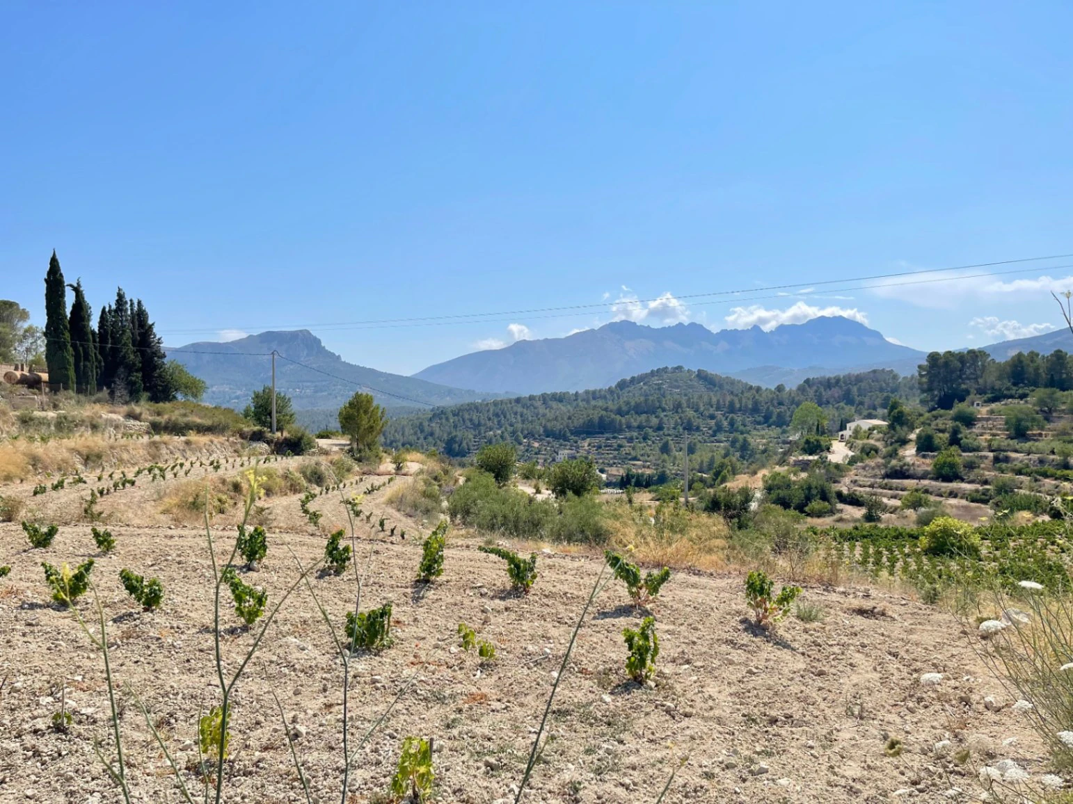 PLOT WITH PROJECT AND LICENSE IN BENISSA