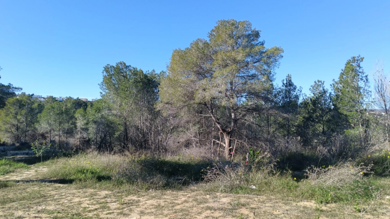 Parcela urbana cerca de todos los servicios en Moraira