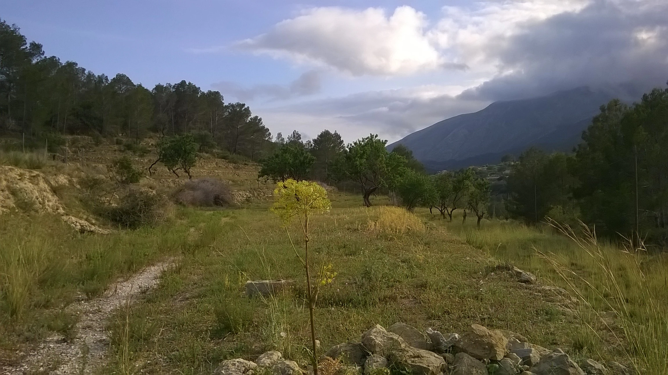 Plot for sale in Benissa