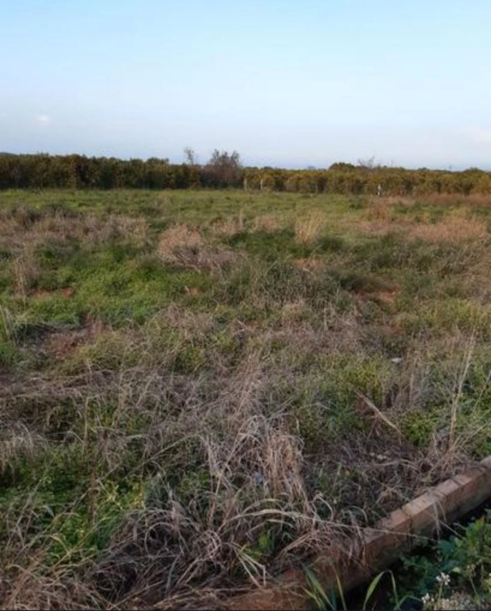 For Sale. Plot in Benidoleig