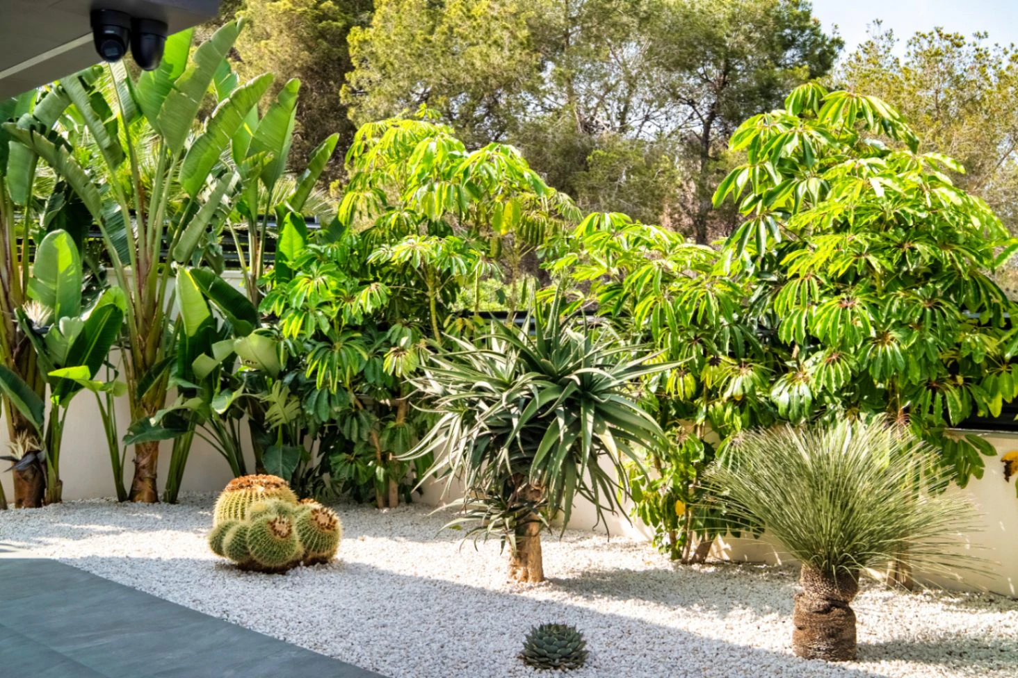 Luxury Villa on Playa Poniente, Benidorm