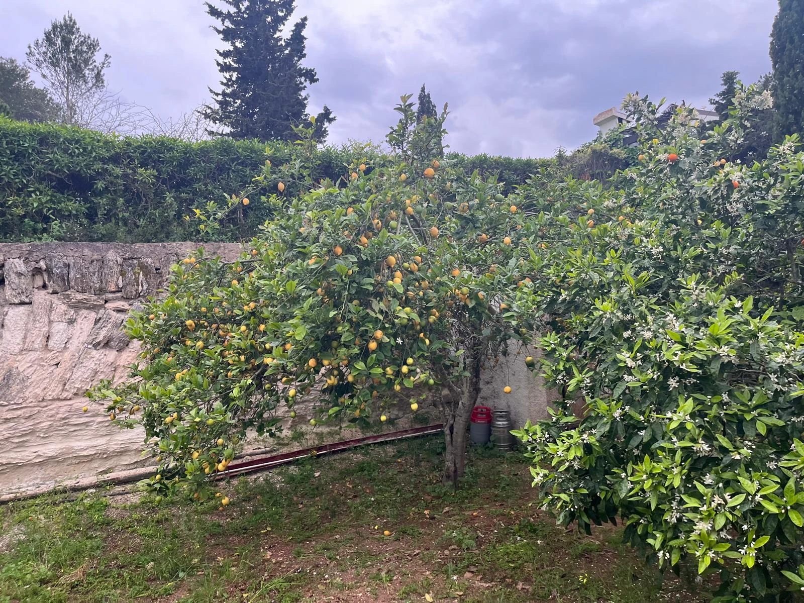 Villa te verkoop in Jávea / Xàbia