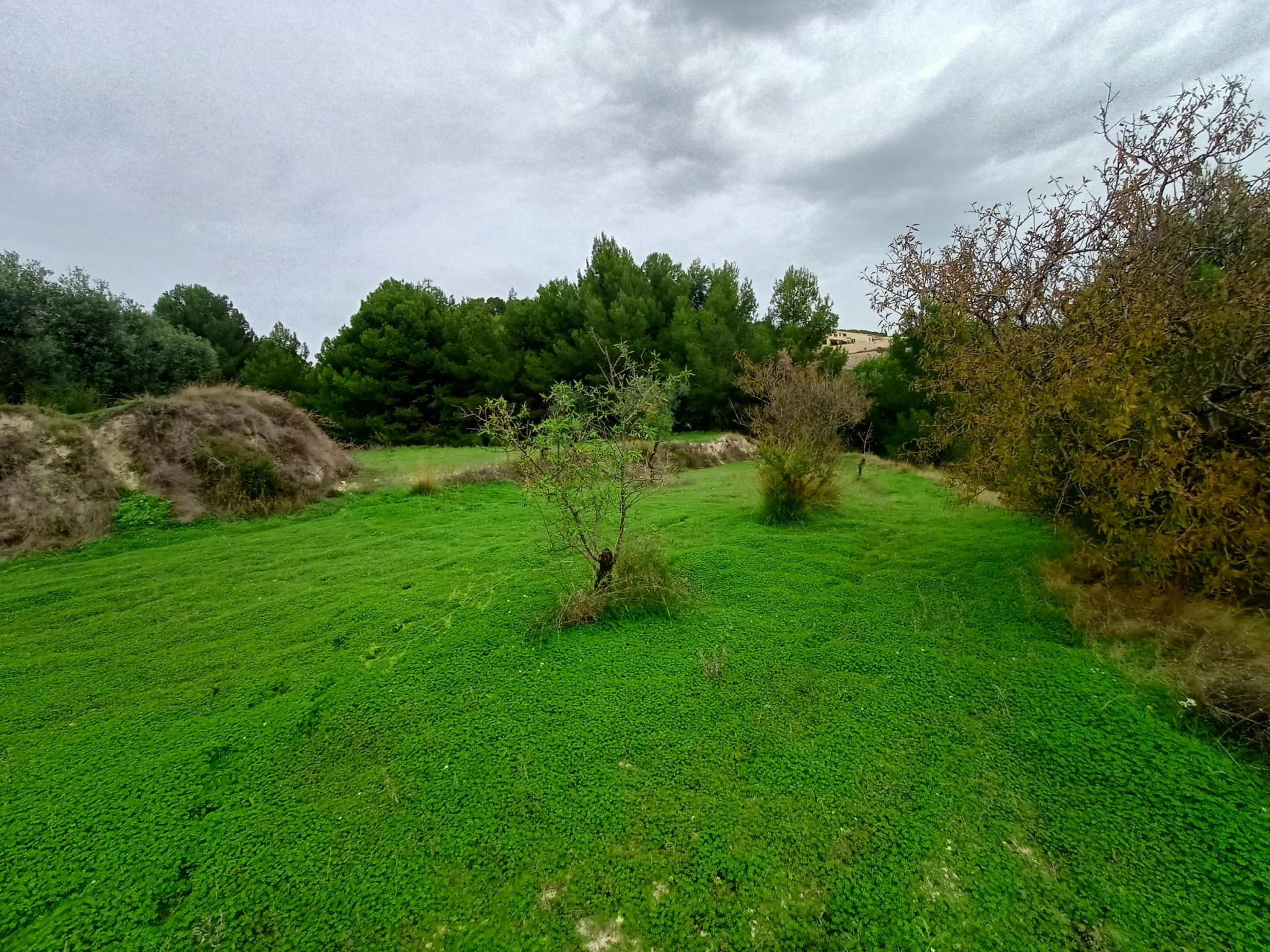 Terrain à la vente à Benissa