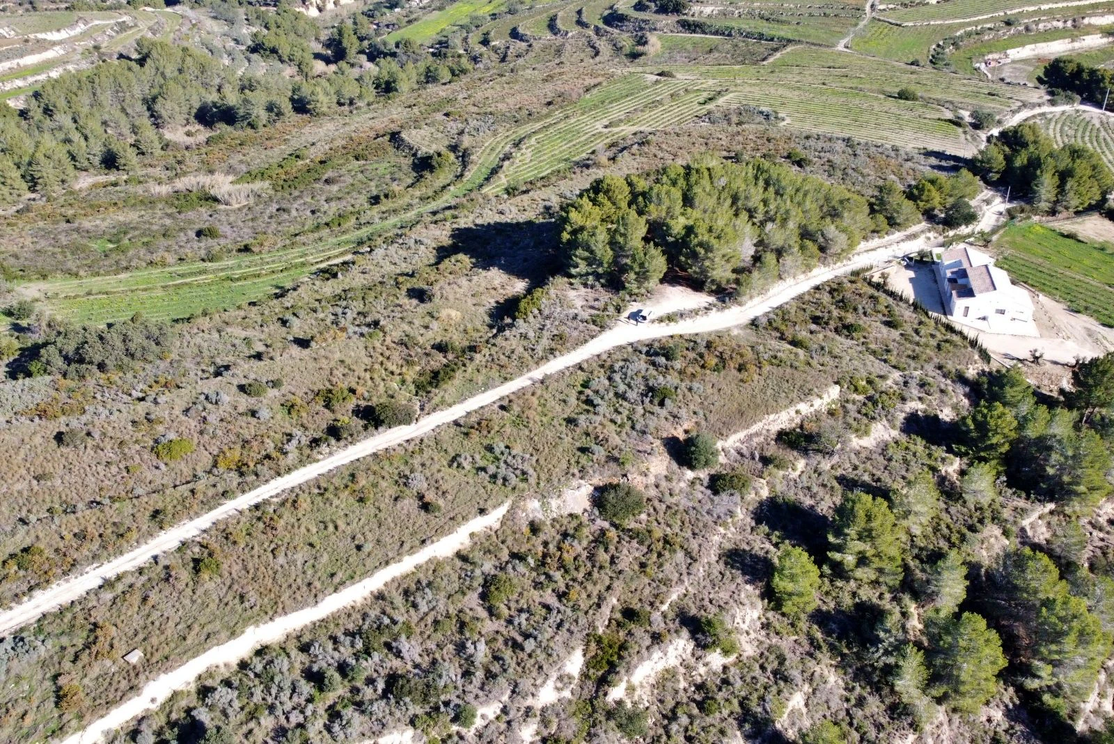 Amplia parcela rústica en Teulada, entorno tranquilo y vistas espectaculares