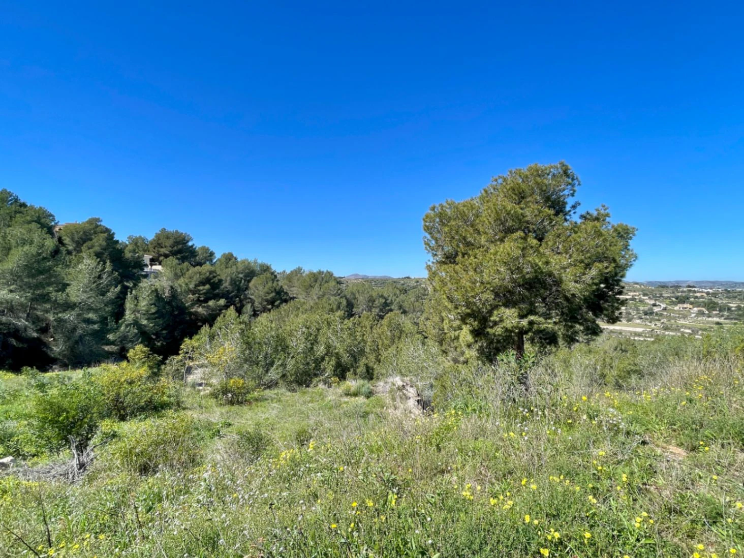 Espectacular Parcela Urbana con Vistas Panorámicas y Gran Terreno Adyacente