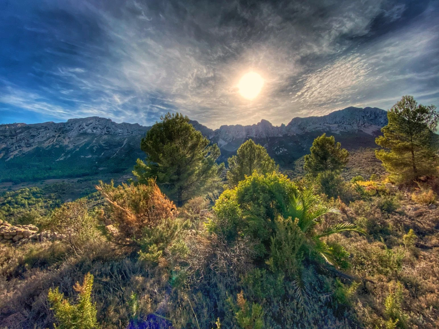 Terrain à vendre à Jalon avec un emplacement fantastique