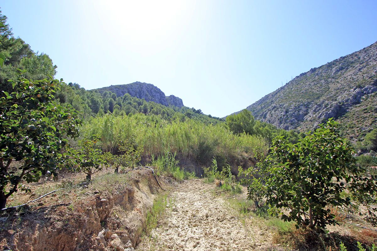 Formidable plot for sale in Beniarbeig
