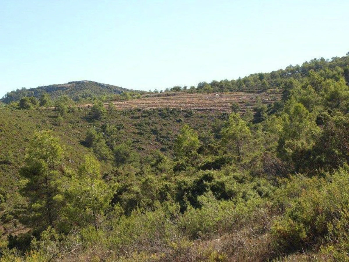 Great opportunity! 200,000 m2 of rural land for sale
