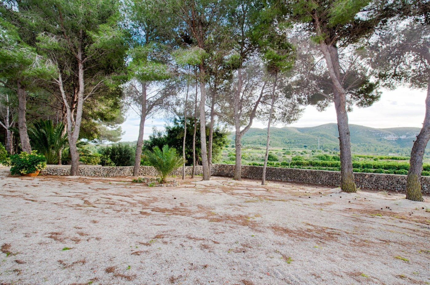 FINCA IN DER RUHE VON GATA DE GORGOS