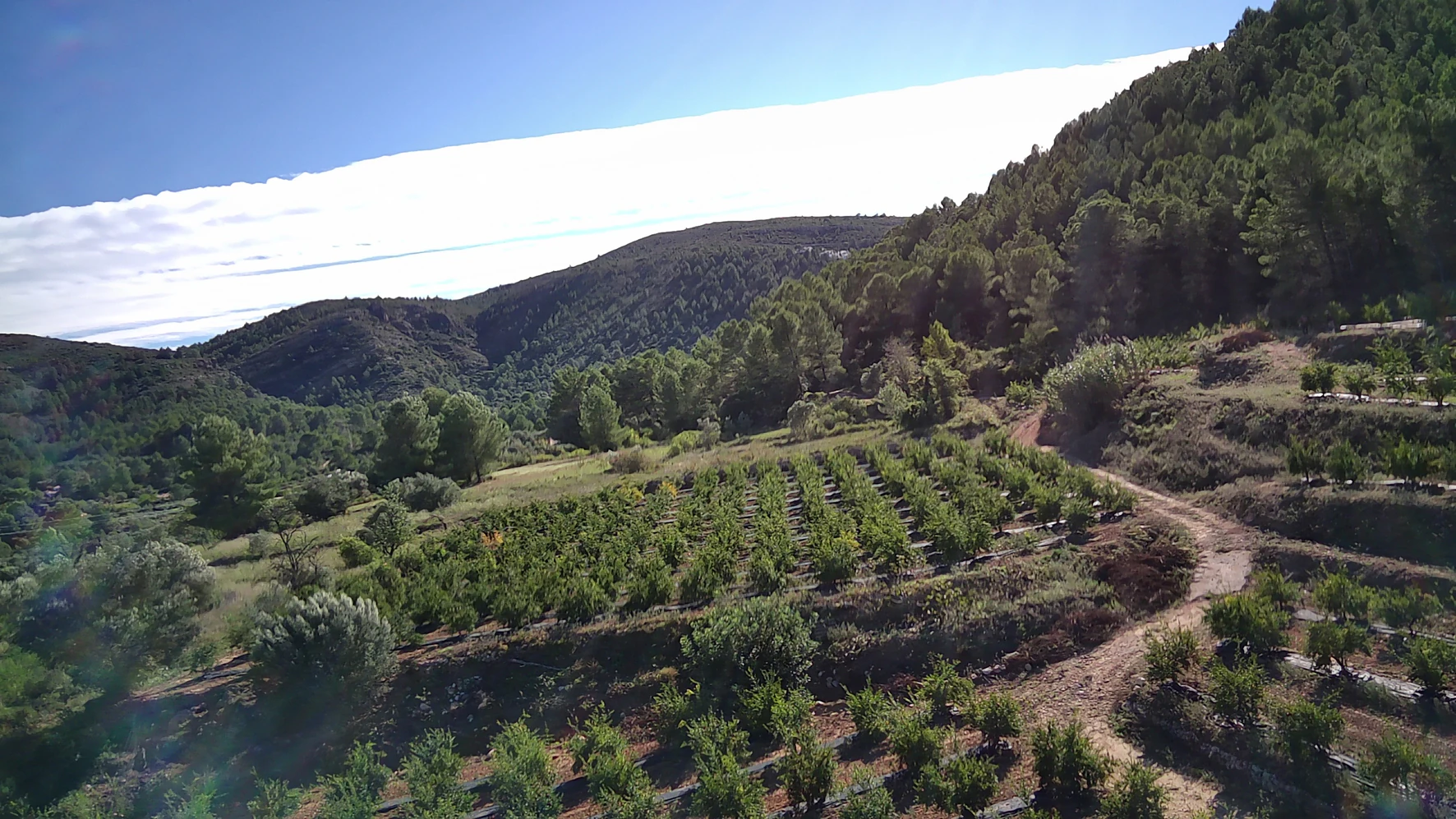 PARCELA 13000 m² LLANA